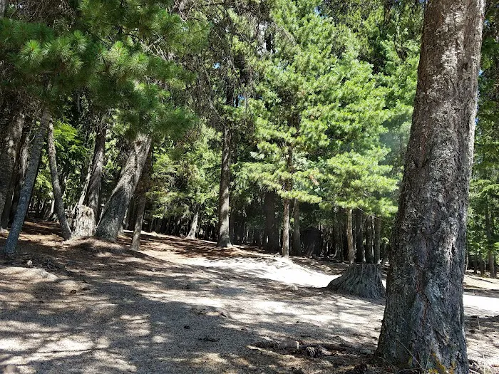 Silver Campground 5