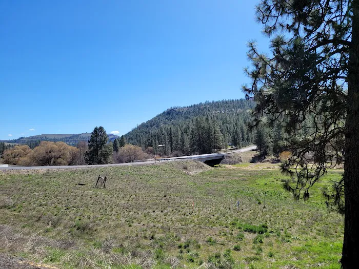 Hawk Creek Campground 8
