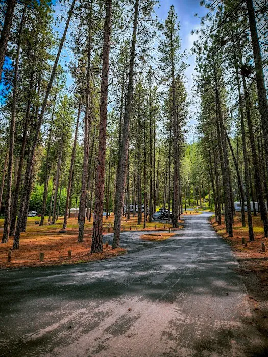 Porcupine Bay campground 8