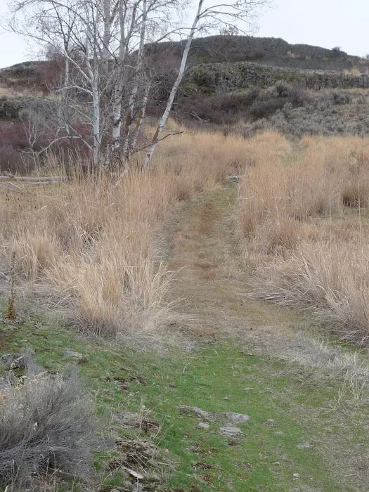 Twin Lakes Recreation Area 4