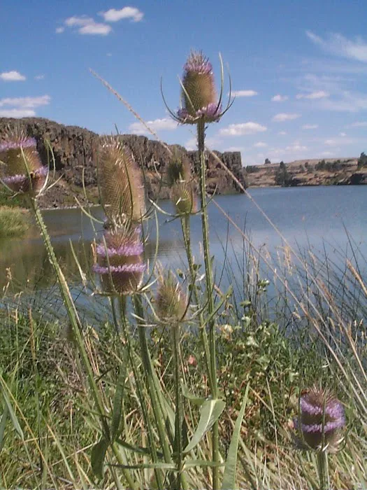 Twin Lakes Recreation Area 3