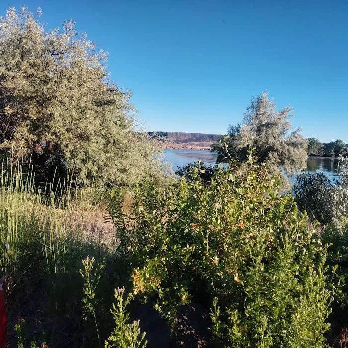 Jones Bay Campground 2