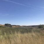 Coffee Pot Lake Campground