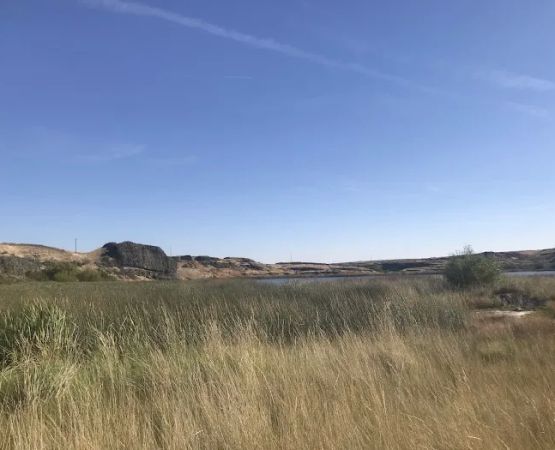 Coffee Pot Lake Campground