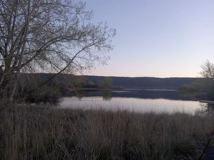 Osborn Bay Campground 5