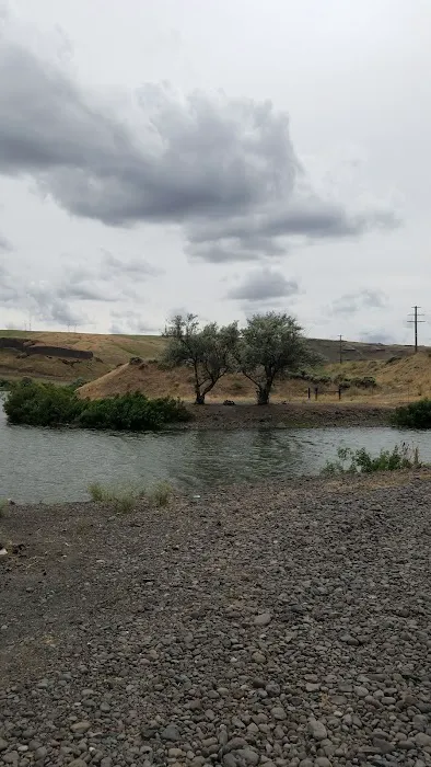 Ayer Boat Basin COE Campground 5