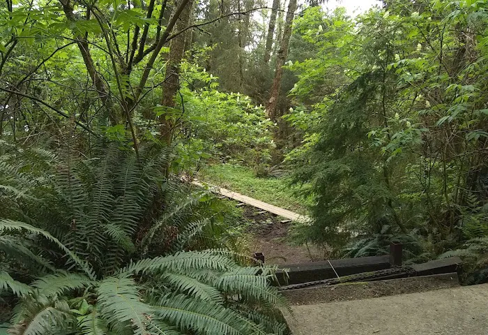 Hiker's Camp 5