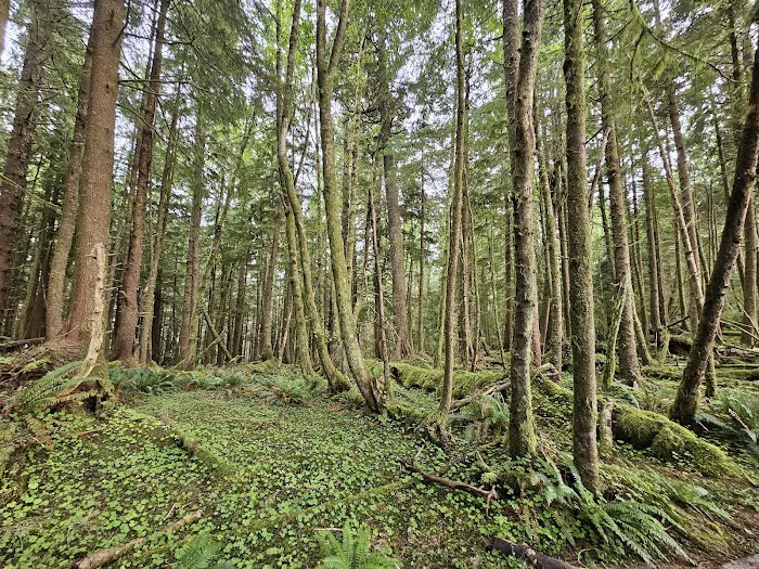 Hiker's Camp 4