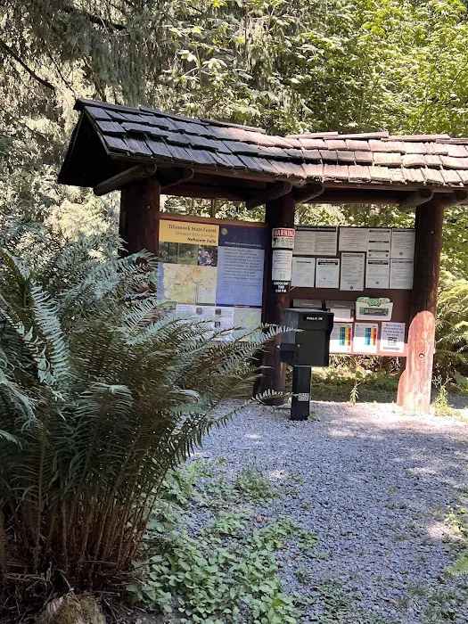 Nehalem Falls Campground 1