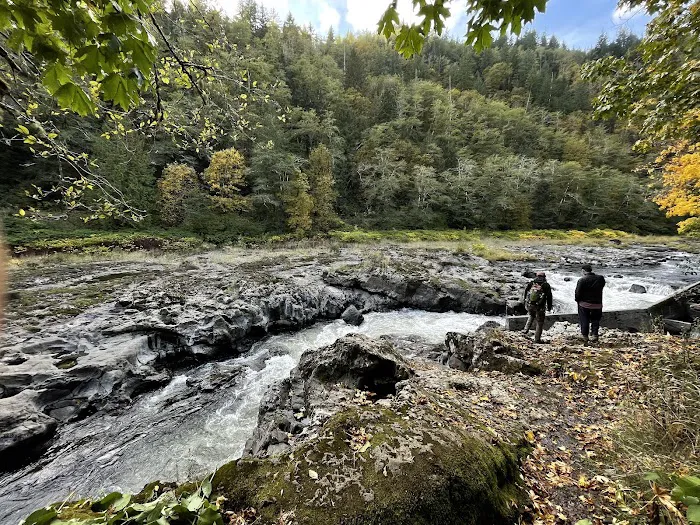 Nehalem Falls Campground 2