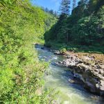 Nehalem Falls Campground