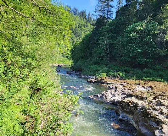 Nehalem Falls Campground