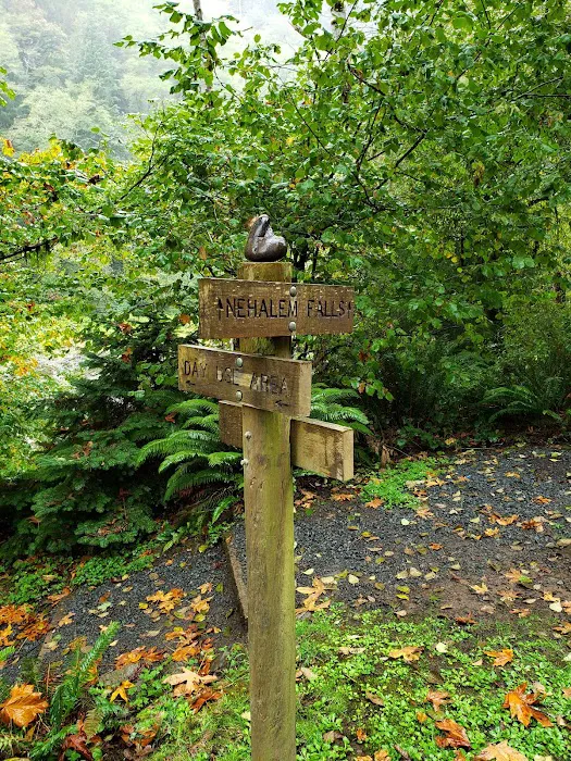Nehalem Falls Campground 5