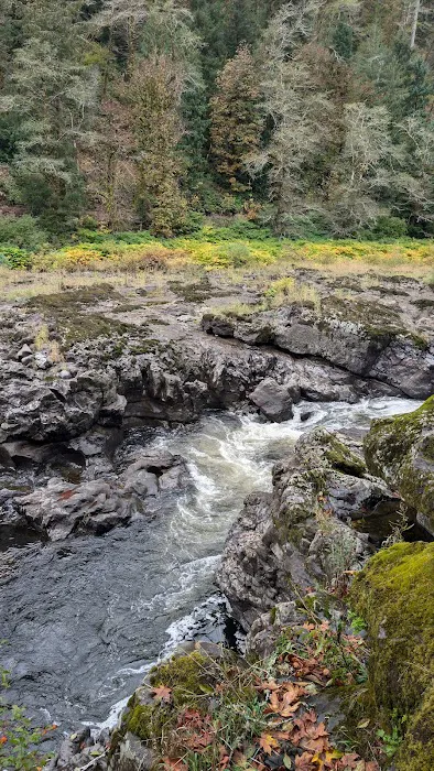 Nehalem Falls Campground 3