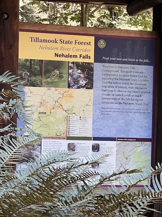 Nehalem Falls Campground 8