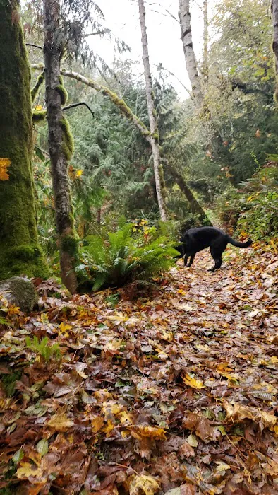 Nehalem Falls Campground 7