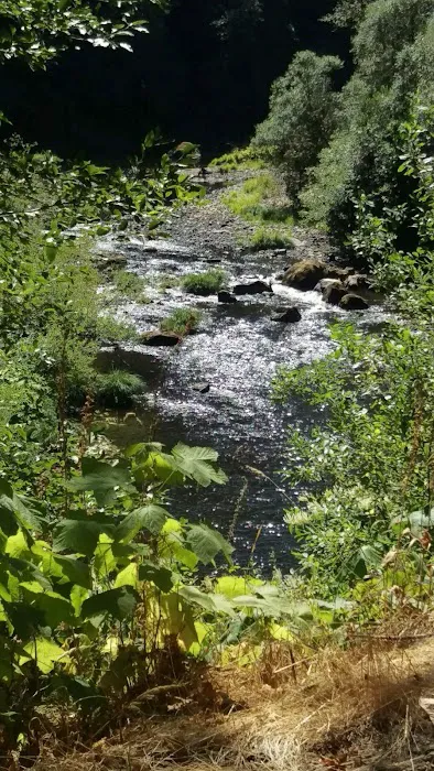 Beaver Eddy Campground 5