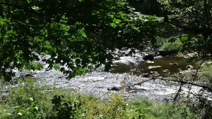 Beaver Eddy Campground 6