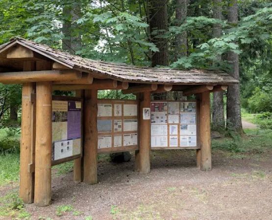 Henry Rierson Spruce Run Campground