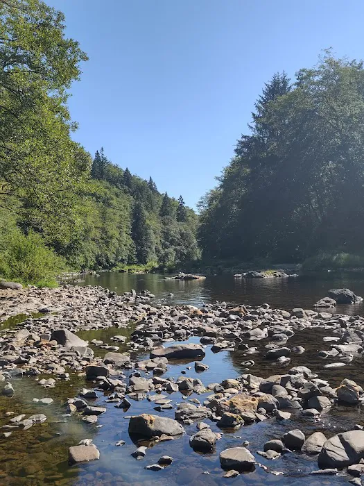 Henry Rierson Spruce Run Campground 5