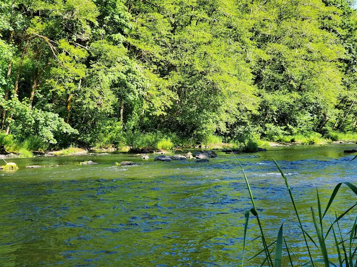 Henry Rierson Spruce Run Campground 9