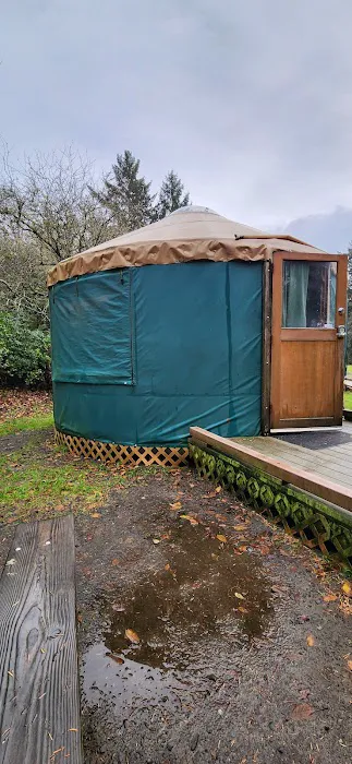 Yurt Village 1