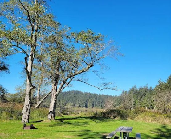 Campground D
