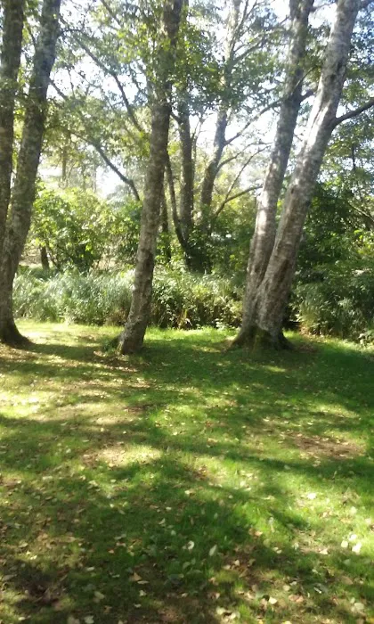 Campground D 9