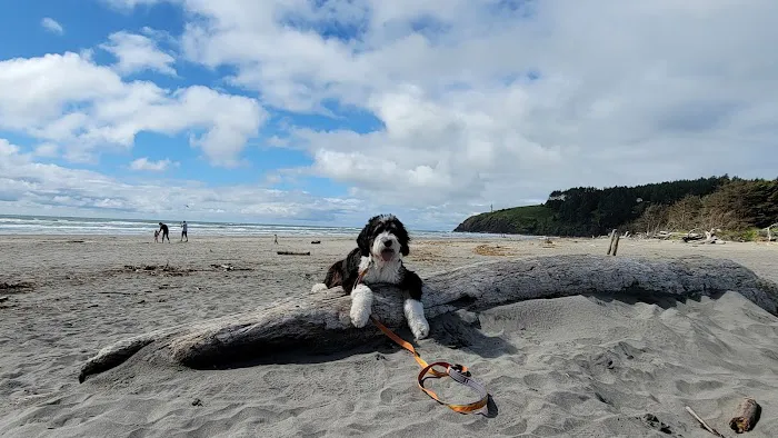 A Loop of Cape Disappointment State Park 4