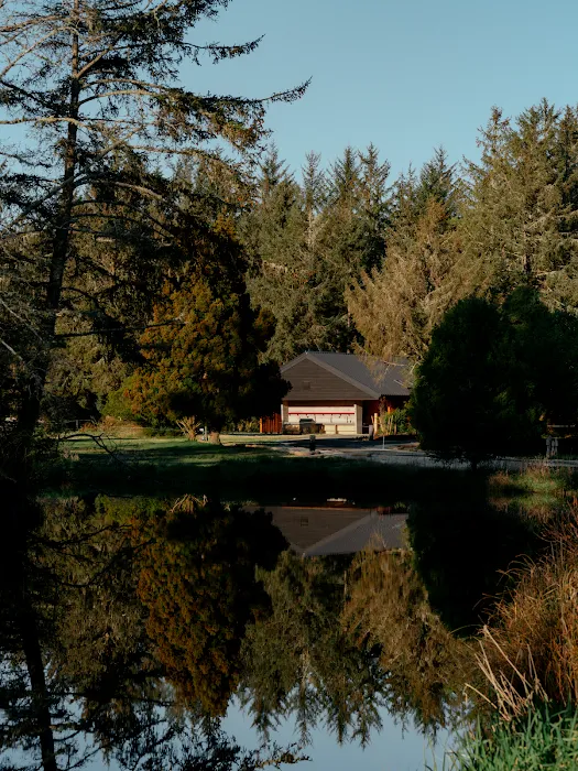 Snow Peak Campfield: Long Beach 8
