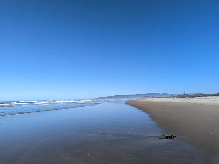 Cape Lookout State Park Campground 0