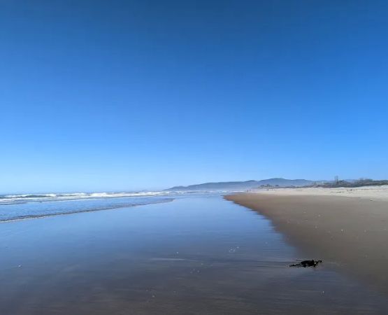 Cape Lookout State Park Campground