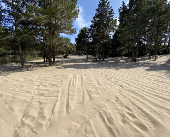 Derrick Road Dispersed Camping Area