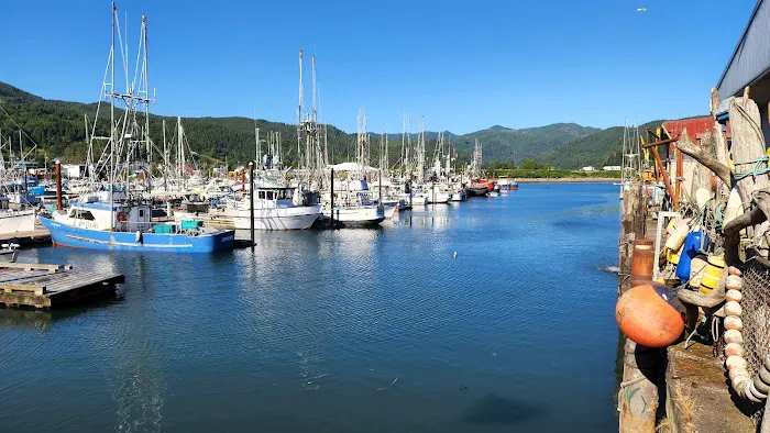 Barview Jetty County Campground 2