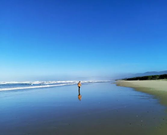 Barview Jetty County Campground