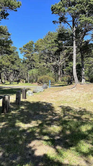 Barview Jetty County Campground 7