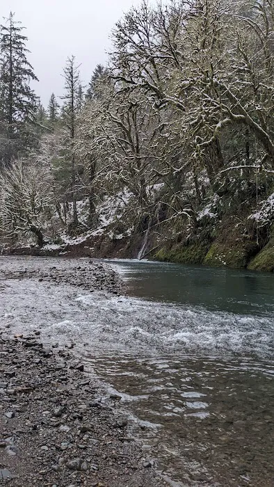 Kilchis River County Campground 1