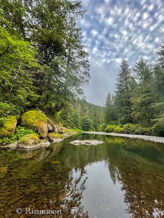 Kilchis River County Campground 2