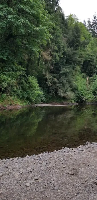 Kilchis River County Campground 4