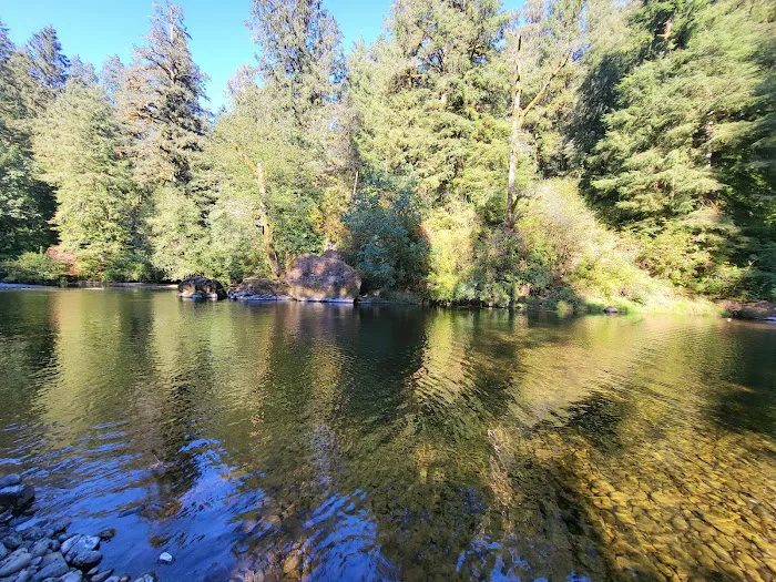 Kilchis River County Campground 3