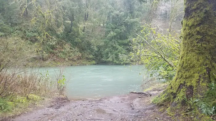 Kilchis River County Campground 8