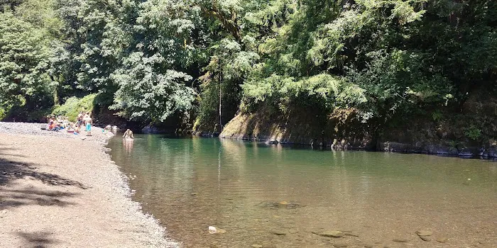 Kilchis River County Campground 9