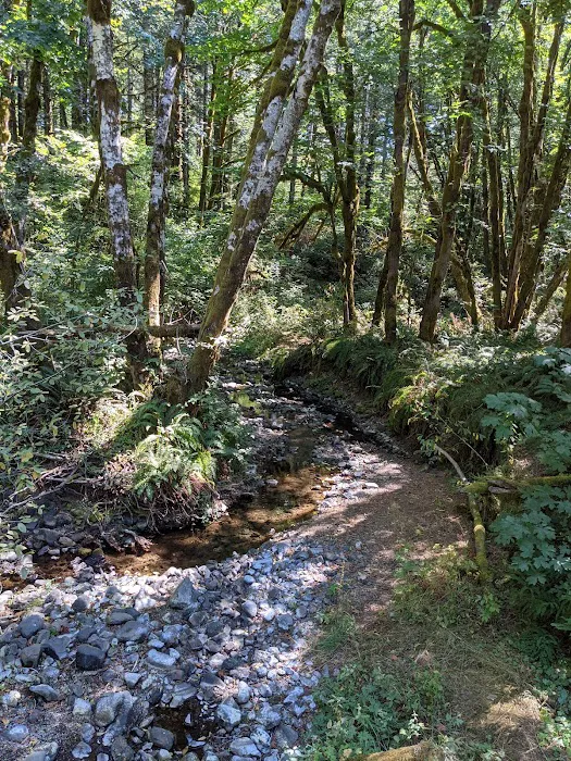 Jones Creek Campground 5