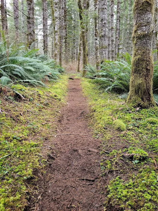 Jones Creek Campground 6
