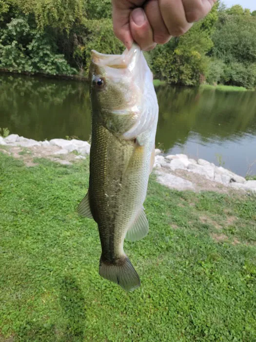 Viking Lake State Park Campground 3