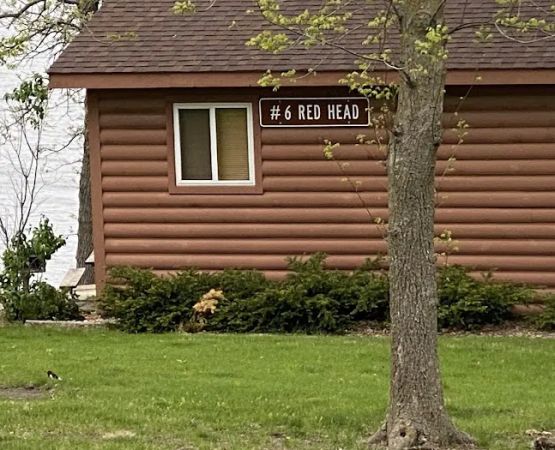 Lakeview Campground