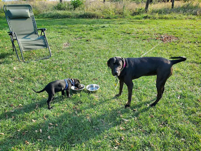 Lakeview Campground 7