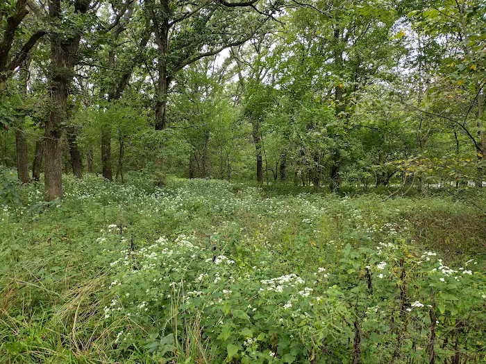 Dammann Oaks Campground 8