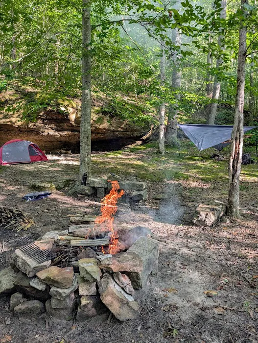 Johnson Homeplace Backcountry Campsite 1