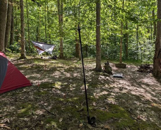 Johnson Homeplace Backcountry Campsite
